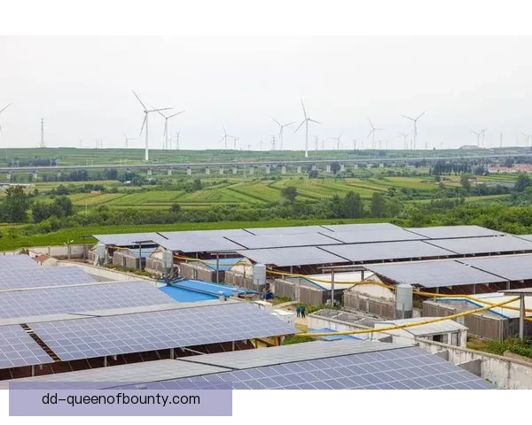 不莱梅宣布将在球场安装德国最大光伏板阵列助力绿色能源革命